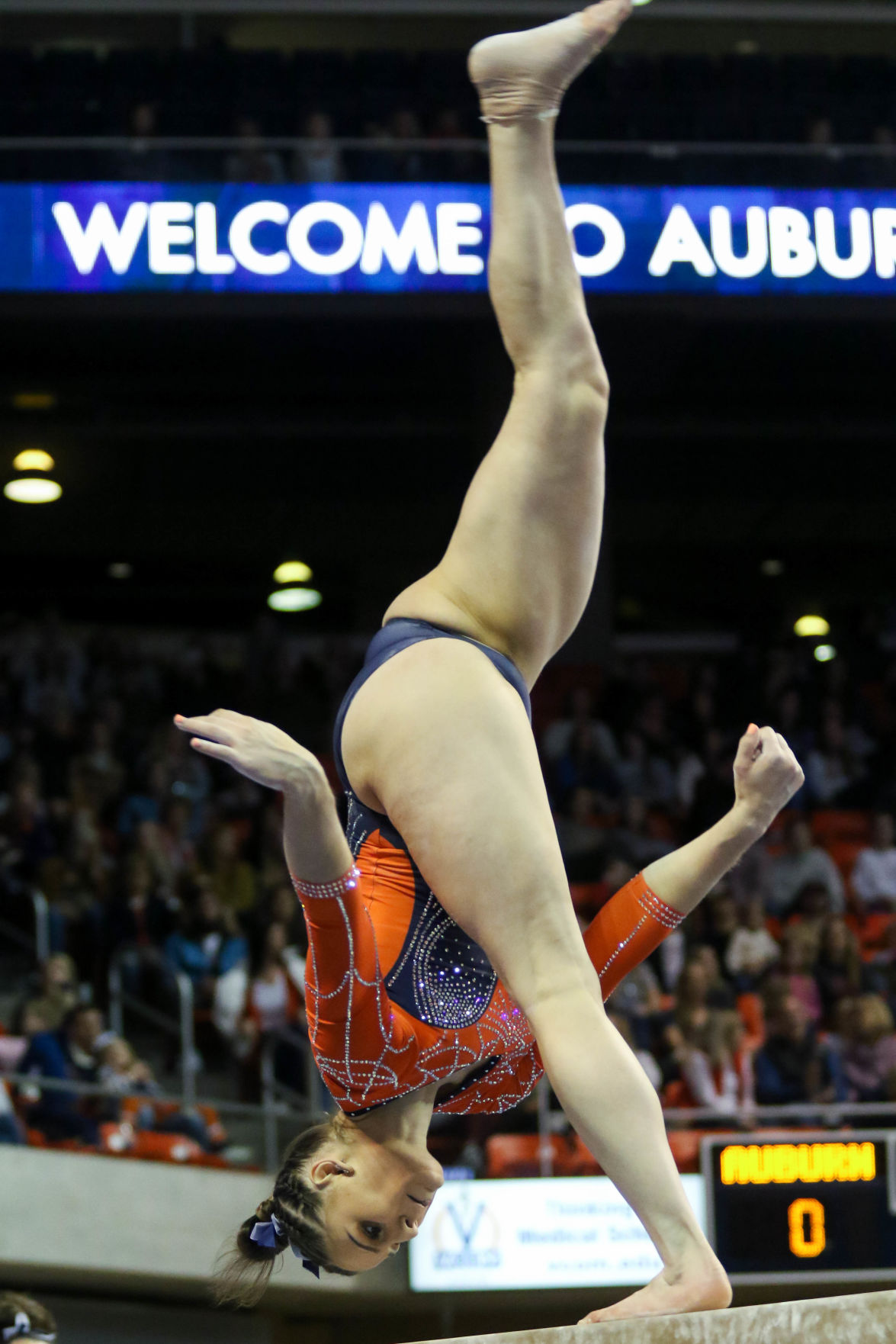 Auburn vs. Kentucky gymnastics